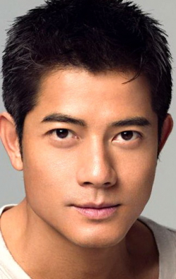 Full Aaron Kwok filmography who acted in the movie Baiyin diguo.