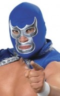 Full Blue Demon Jr. filmography who acted in the movie NWA Pro Wrestling: Fiesta Lucha.