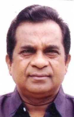 Full Brahmanandam filmography who acted in the movie Dhammu.