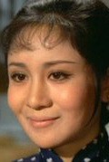 Full Chin-Feng Wang filmography who acted in the movie Pi li quan.