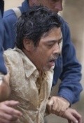 Full Joel Torre filmography who acted in the movie Captive.