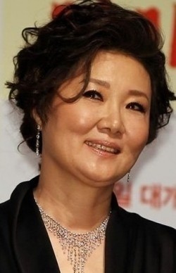 Full Kim Hae-sook filmography who acted in the movie Agasshi.