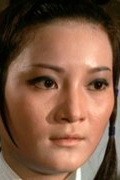 Full Pei-pei Shu filmography who acted in the movie Feng lei mo jing.