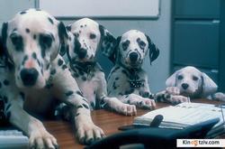 102 Dalmatians photo from the set.