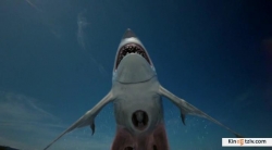 Sharktopus photo from the set.