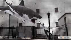 Sharknado 2: The Second One photo from the set.