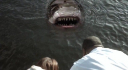 Zombie Shark photo from the set.