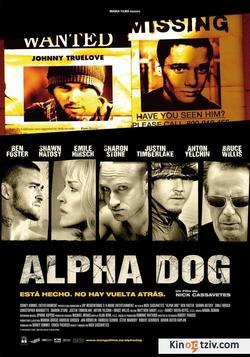 Alpha Dog photo from the set.