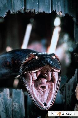 Anaconda photo from the set.