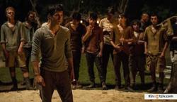 The Maze Runner photo from the set.