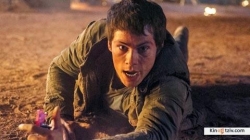 Maze Runner: The Scorch Trials photo from the set.
