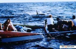 Jaws 2 photo from the set.