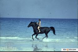 The Black Stallion photo from the set.