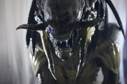 AVPR: Aliens vs Predator - Requiem photo from the set.