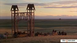 Days of Heaven photo from the set.