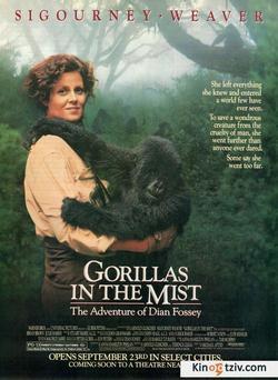 Gorillas in the Mist: The Story of Dian Fossey photo from the set.