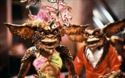 Gremlins 2: The New Batch photo from the set.