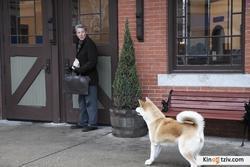 Hachiko: A Dog's Story photo from the set.