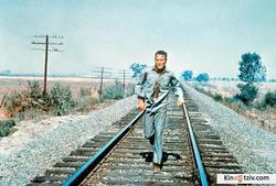 Cool Hand Luke photo from the set.