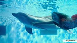 Dolphin Tale 2 photo from the set.