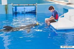 Dolphin Tale 2 photo from the set.