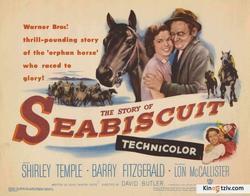 The Story of Seabiscuit photo from the set.