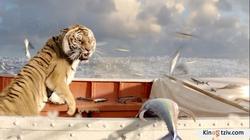 Life of Pi photo from the set.