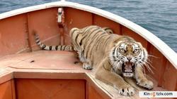 Life of Pi photo from the set.