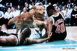 Air Bud photo from the set.