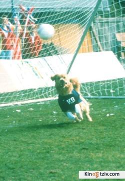 Air Bud photo from the set.