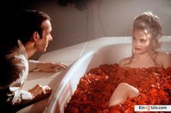 American Beauty photo from the set.