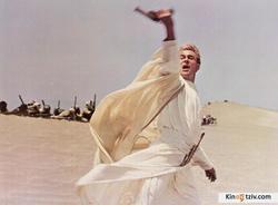 Lawrence of Arabia photo from the set.