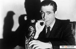 The Maltese Falcon photo from the set.