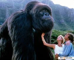 Mighty Joe Young photo from the set.