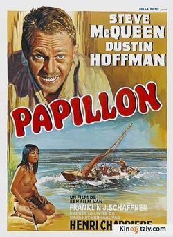 Papillon photo from the set.