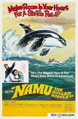 Namu, the Killer Whale photo from the set.