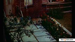 Rear Window photo from the set.