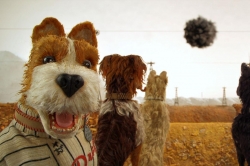 Isle of Dogs photo from the set.