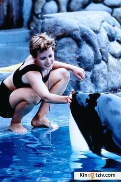 Free Willy photo from the set.