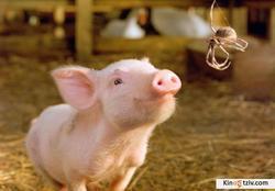 Charlotte's Web photo from the set.