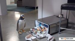 Mr. Popper's Penguins photo from the set.