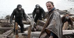 Dawn of the Planet of the Apes photo from the set.