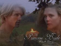 The Princess Bride photo from the set.