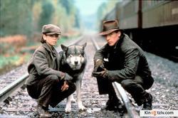 The Journey of Natty Gann photo from the set.