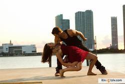 Step Up Revolution photo from the set.