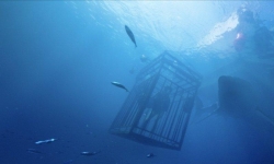 47 Meters Down photo from the set.