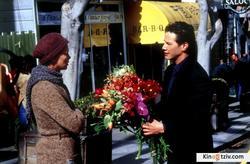Sweet November photo from the set.