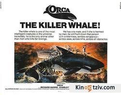 Orca, the Killer Whale photo from the set.
