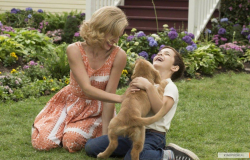 A Dog's Purpose photo from the set.