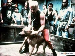 Amores perros photo from the set.